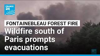 Nearly 1,000 hectares burnt in fire near Paris • FRANCE 24 English