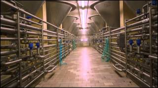 Pilsner Urquell: Barrels and Brewing