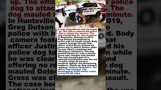 A man surrendered with his hands up. The officer released the police dog anyway. #shorts