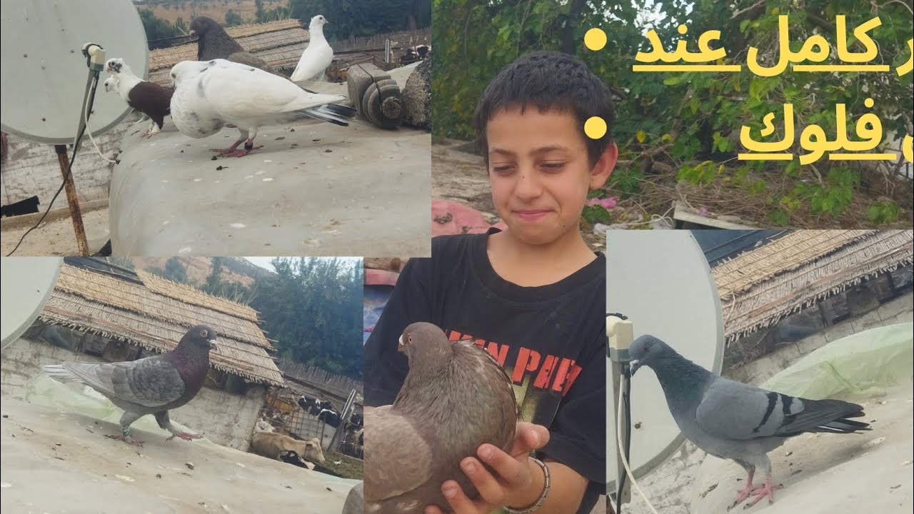 دوزنا نهار 🔥كامل عند ريان فلوك وتولعنا معاه ❤