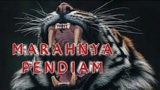 Story Wa _  jangan meremehkan orang pendiam #status #wa #katakata #macan #putih #macanputih #viral