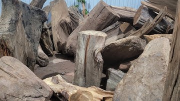 Hương thơm gỗ ngọc am đến từ đâu