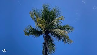 R&B Guitar x Melodic Beat - Sometimes | FREE FOR PROFIT