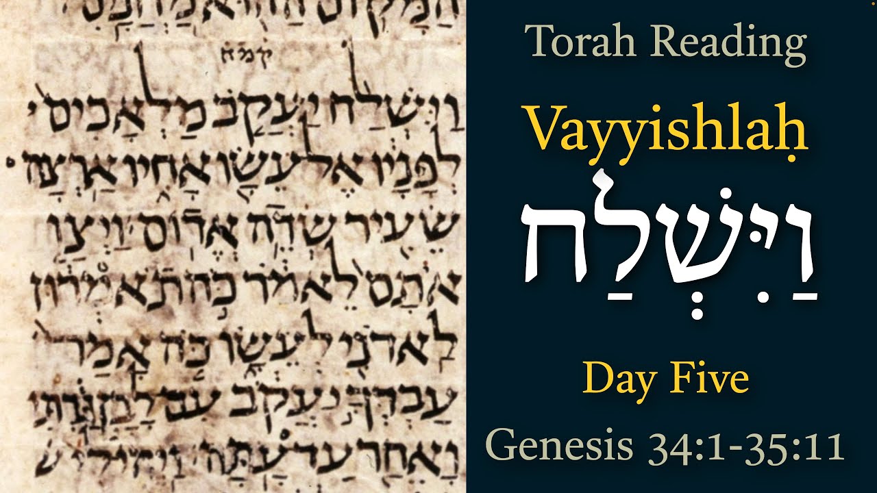Daily Torah Portion Reading