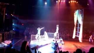Circus Juventas: Neverland 2014