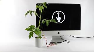DECODE - Translated plant signal