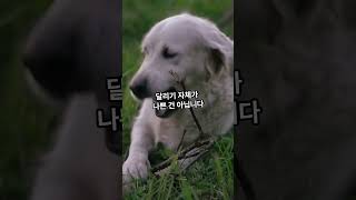 야외 달리기, 대장암 위험 높인다?!  #대장암 #야외달리기 #운동주의보 #미세먼지주의보 #건강상식 #유튜브쇼츠 #운동상식 #실내운동추천