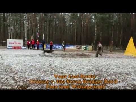 Great German Shepherd Dog Attacks IV