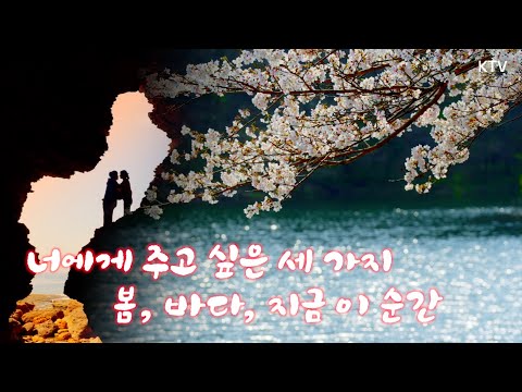 바람에 흩날리는 벚꽃 잎에서 봄이 느껴진다...❤️ 오랜만에 박혜경에 #너에게주고싶은세가지 음악들으며 #부안 봄 풍경 감상해 보아요~