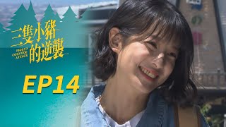 三隻小豬的逆襲 EP14 Piggy's Counterattack｜三立華劇