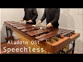 알라딘 OST (Aladdin) - Speechless - Pulse Marimba Cover