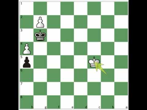 #7 Pawn ending(king vs two pawn)