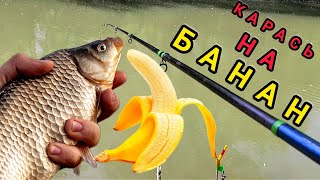 КАРАСИ на Банан, даже ЩУКА КЛЮНУЛА!!! Рыбалка на фидер весной!