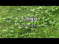 2026-7-17 人間模様/すぎもとまさと