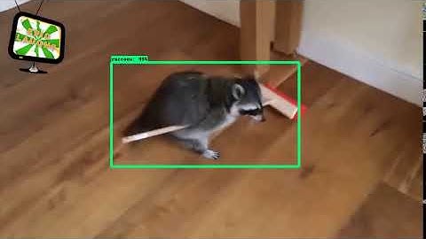 Tensorflow Object Detection API