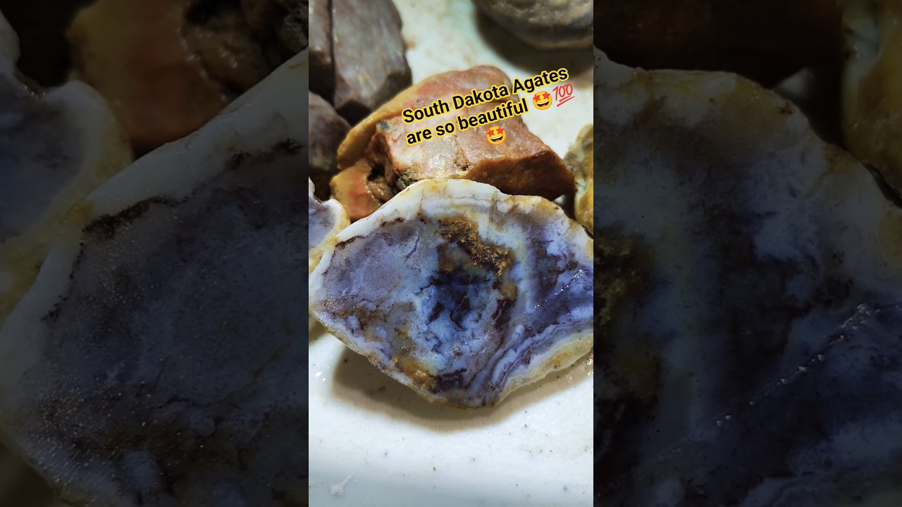 South Dakota Prairie agates are just as beautiful as fairburns