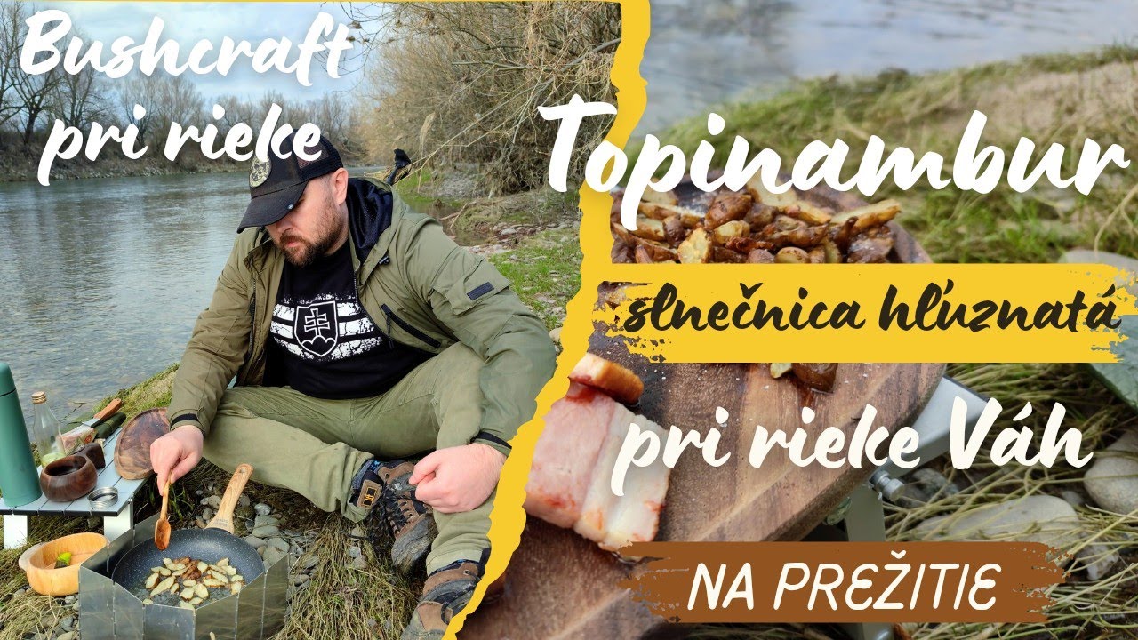 BUSHCRAFT PRI RIEKE VÁH A TOPINAMBURY | ZEMIAKY KTORÉ RASTÚ V PRÍRODE | SLNEČNICA HĽUZNATÁ |