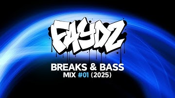 DJ FAYDZ - BREAKS & BASS MIX 01 - BREAKBEAT 2025
