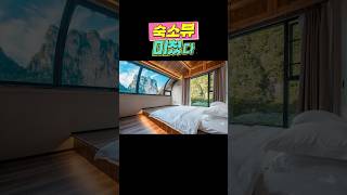 눈 뜨면 장가계 절경! 침대뷰 최강 포기밸리 부티크호텔 #요모 #장가계 #백장협 #travel #프라이빗투어 #맞춤여행 #단독투어