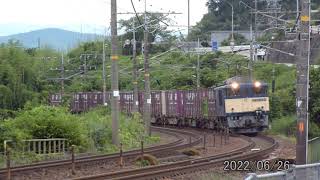 ８１レ　ＥＦ６４　１０２４号機　国鉄色フルコンにはコンテナが１台足りません、残念！