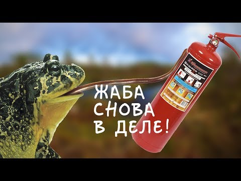 Дымогенератор из огнетушителя для холодного копчения своими руками чертежи