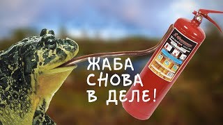 Дымогенератор из огнетушителя своими руками. Или Жаба снова спасает меня от траты денег!