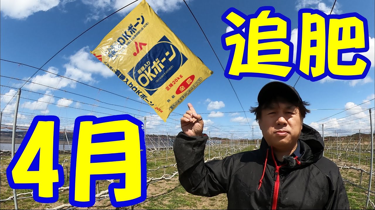 いちじくVlog #13 4月の追肥 SEASON3 - YouTube