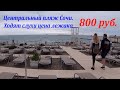 Цена лежака 800 р, но это по слухам! Цены не нашел! Центральный пляж Сочи!🌴ЛАЗАРЕВСКОЕ СЕГОДНЯ🌴СОЧИ.