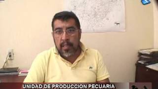 UNIDAD DE PRODUCCION PECUARIA DOCUMENTO DE UPP