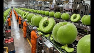 Celebrity Inside a Modern Peach Processing Plant  From Farm to Canned Peaches The whole process Profile