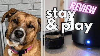 Petsafe's Wireless Fence, WORTH IT? Time to Find Out