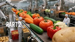 Inside A Modern Factory That Transforms Fresh Vegetables Into Frozen Perfectionfull Process Part 2