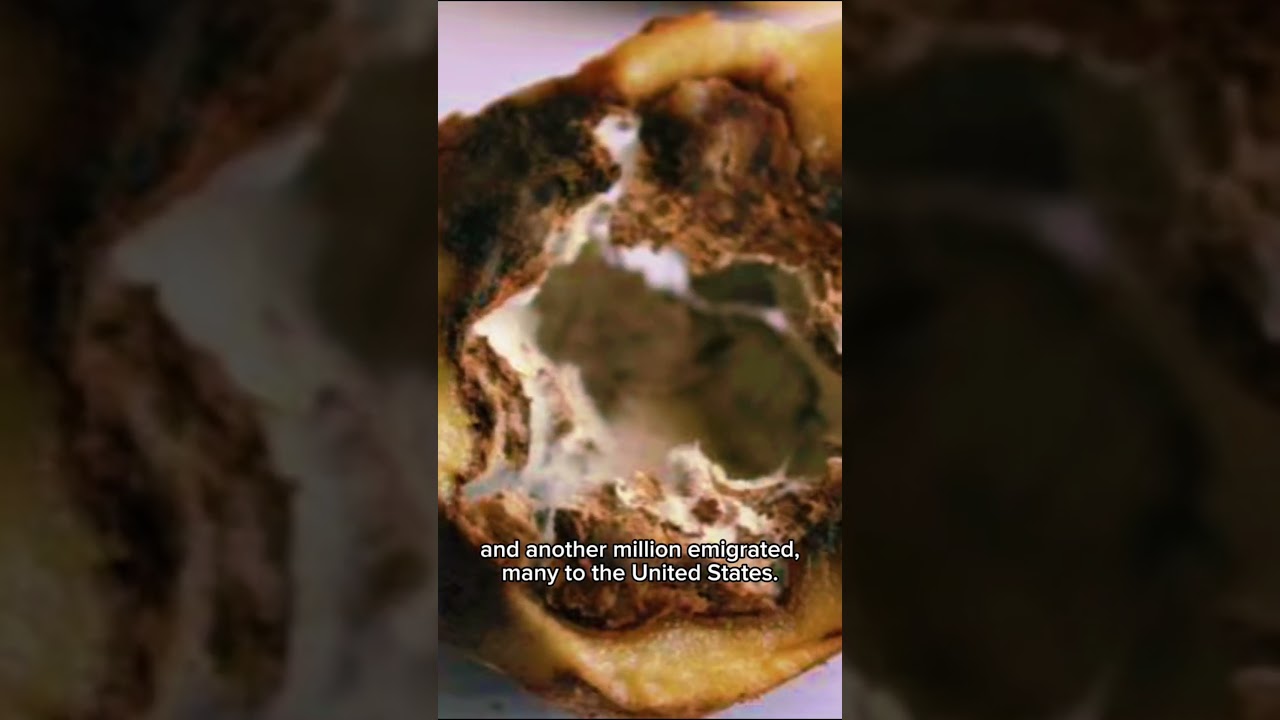 Ireland’s Tragic Hunger Crisis