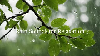 Ambient Sounds for Relaxation | Ambient Music and Rain Sounds for Relaxation and Renewal 🌧️🌊