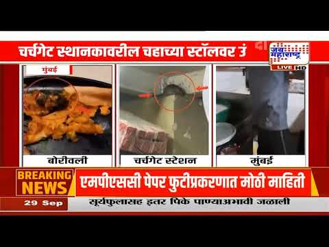 Mumbai मध्ये अन्न सुरक्षेचा, स्वच्छतेचा मुद्दा पुन्हा ऐरणीवर, म्हैसूर मसाला डोश्यात मृत उंदीर