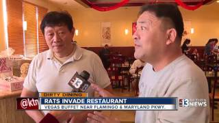 Dirty Dining features rats at Vegas Buffet