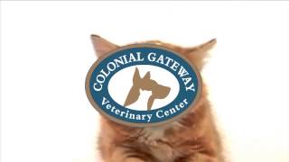 Colonial Gateway Veterinary Center