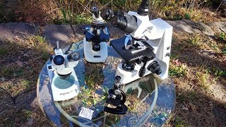 What Is the Best Microscope for Students? Leeuwenhoek's, Kid's, Stereo, Student, or Professional?