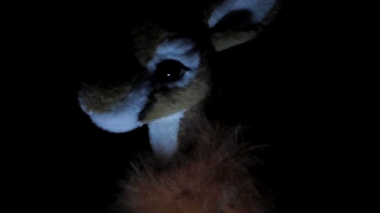 Газель музыка 3 - YouTube