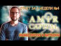 Amir Capital | Отчет за 2 недели №4 | Amir Capital Инвестирую в биткоин