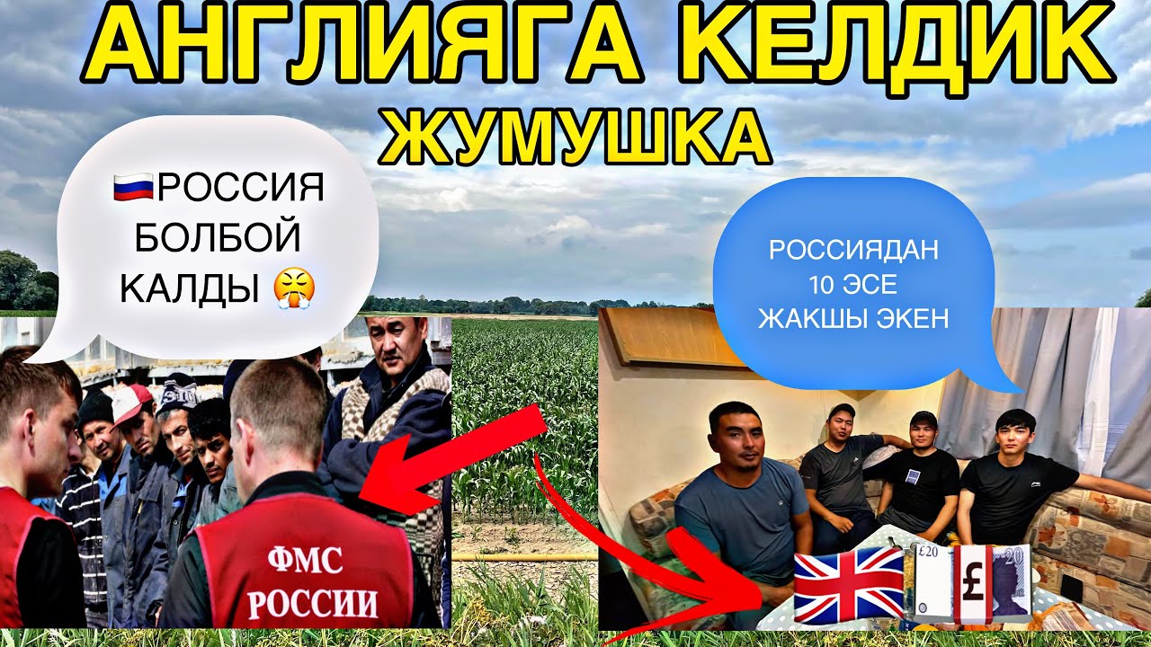 Англияга келдик айлык 230Миң экен россиядан жакшы экен көрүнүздөр #кыргызстан #мигранттар #бишкек