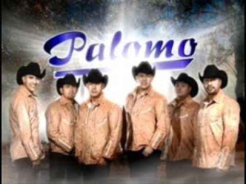 Palomo El Otro con lettra