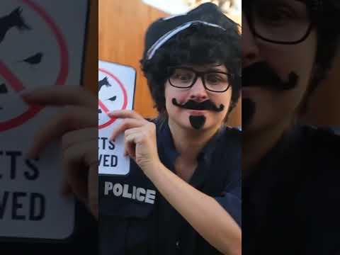 😂🐾😳 Cat Cosplay Gone Wrong 😳 Looks Alive