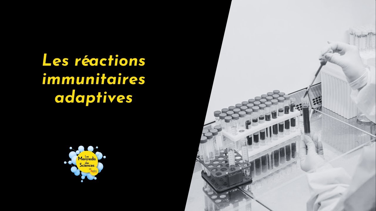 Les réactions immunitaires adaptatives, par Sébastien Storck [Mercredis des Sciences]