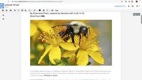 DocHub Extension on Chrome