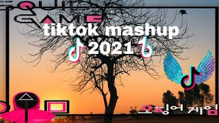 TikTok Mashup 2020?? (not clean)