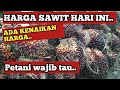 HARGA SAWIT HARI INI - 3 agustus 2022 di sejumlah daerah