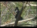 Exploring with Dick Hutto: Episode 4