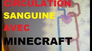 Circulation sanguine avec Minecraft - SVT
