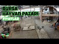 Bursa Canlı Hayvan Pazarı 05.03.23